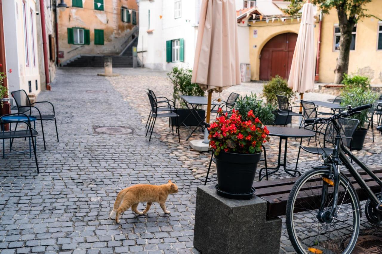 Charming Studio Ideal For Getaways Or Workations In Sibiu'S Medieval City Center מראה חיצוני תמונה